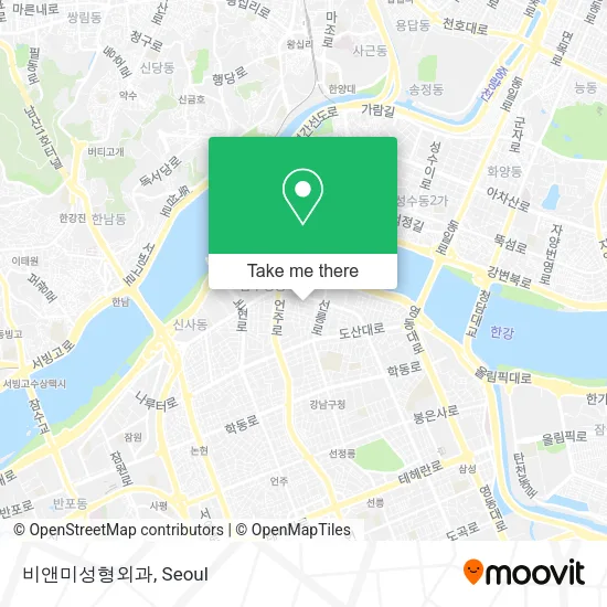 비앤미성형외과 map