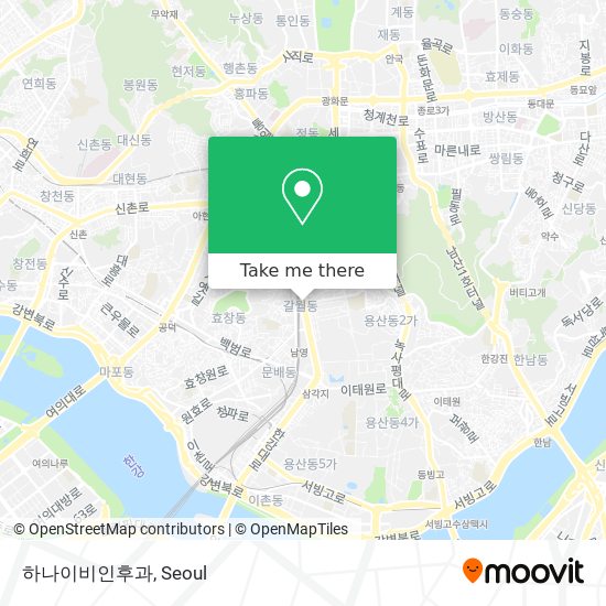 하나이비인후과 map