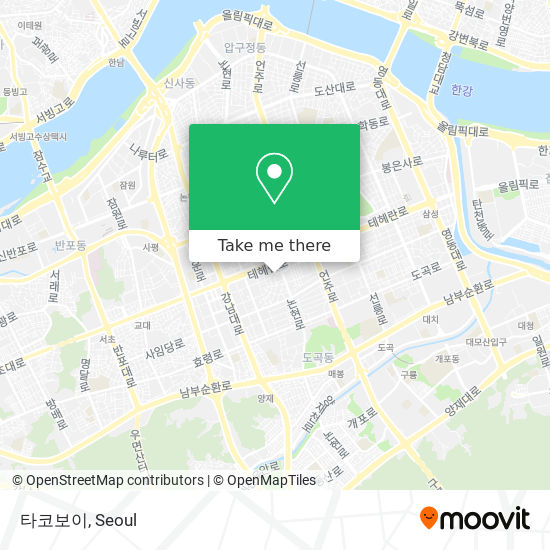 타코보이