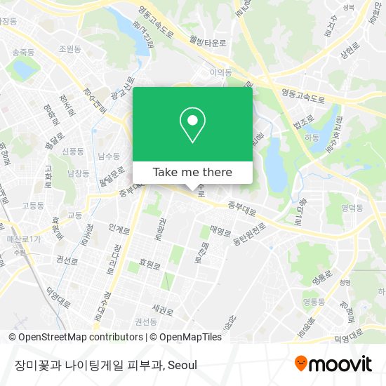 장미꽃과 나이팅게일 피부과 map