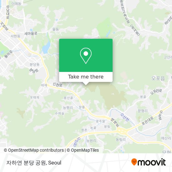 자하연 분당 공원 map