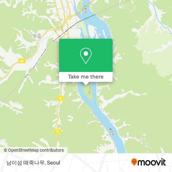 남이섬 때죽나무 map