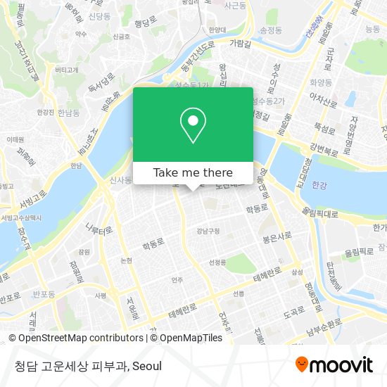 청담 고운세상 피부과 map