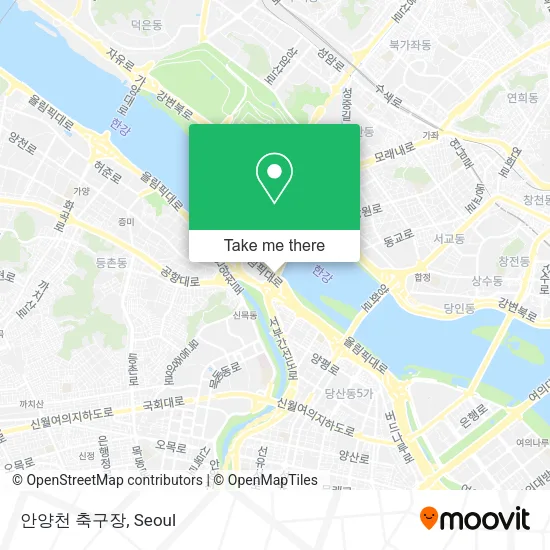 안양천 축구장 map