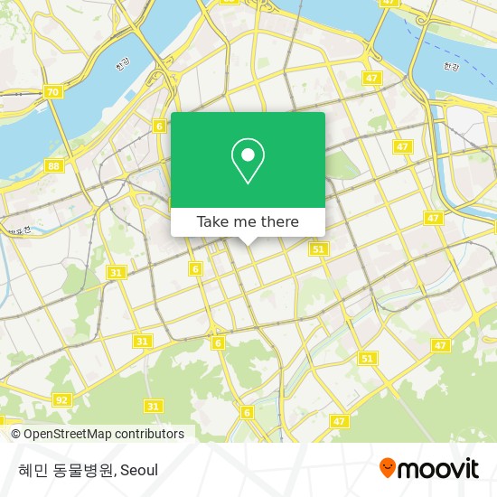 혜민 동물병원 map