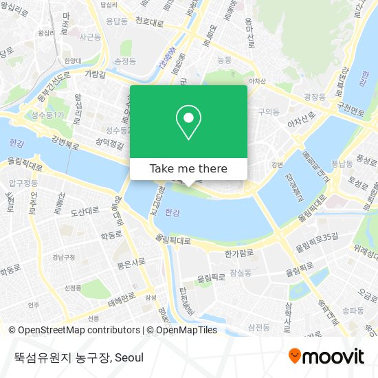 뚝섬유원지 농구장 map