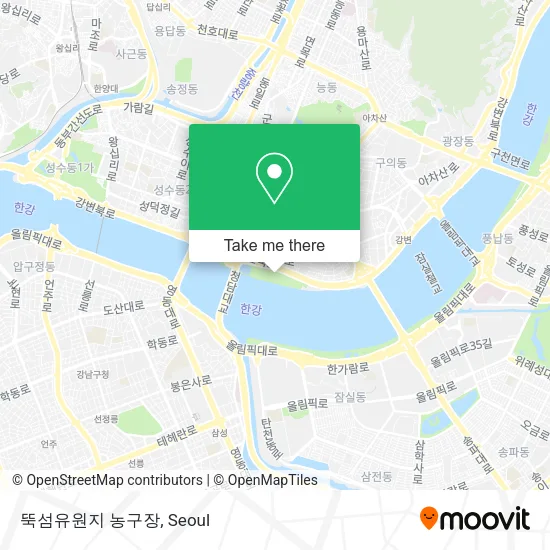 뚝섬유원지 농구장 map