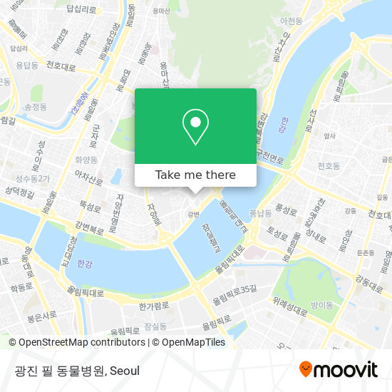 광진 필 동물병원 map