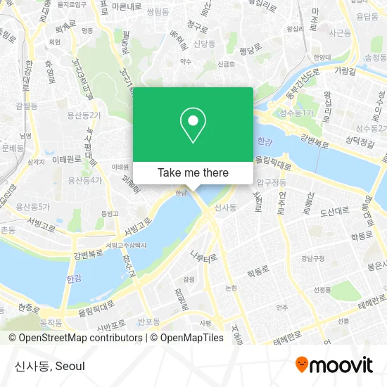 신사동 map