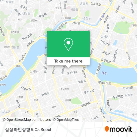 삼성라인성형외과 map