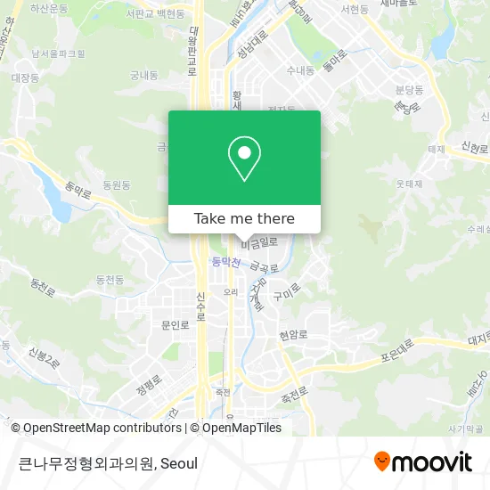 큰나무정형외과의원 map