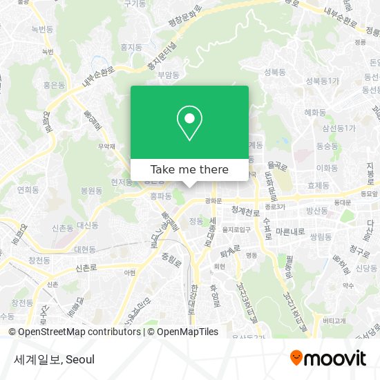 세계일보 map