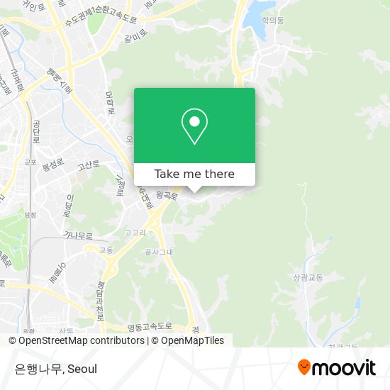 은행나무 map