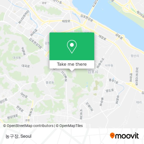 농구장 map