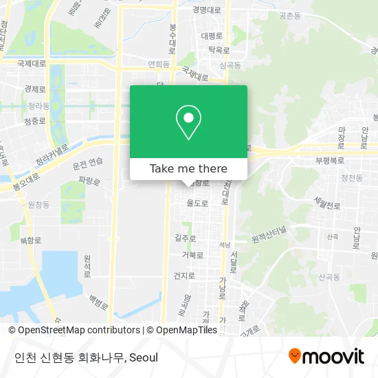 인천 신현동 회화나무 map