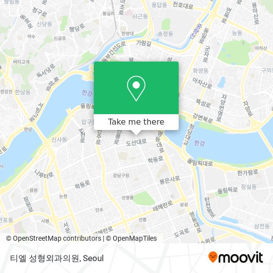 티엘 성형외과의원 map