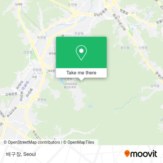 배구장 map