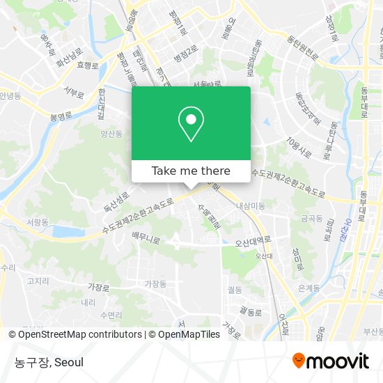 농구장 map