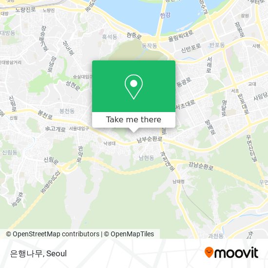 은행나무 map