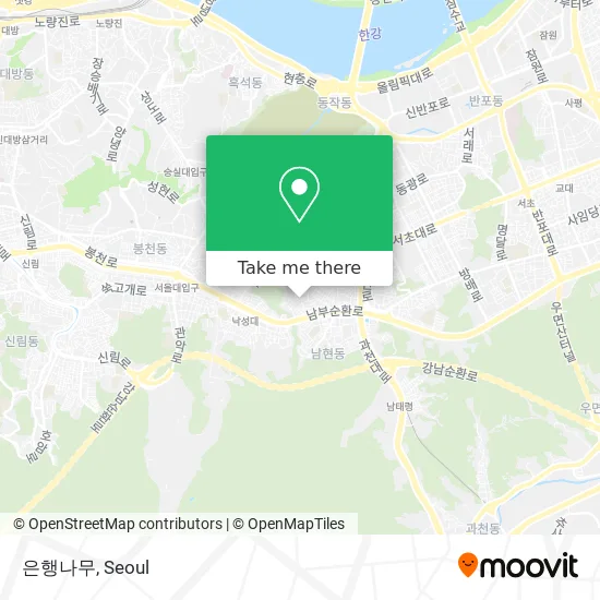 은행나무 map