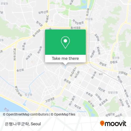 은행나무군락 map