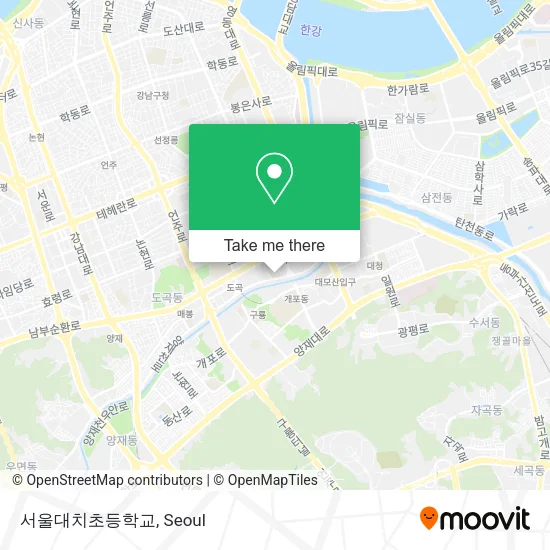 서울대치초등학교 map