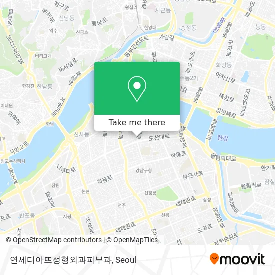 연세디아뜨성형외과피부과 map