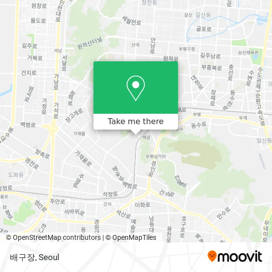 배구장 map