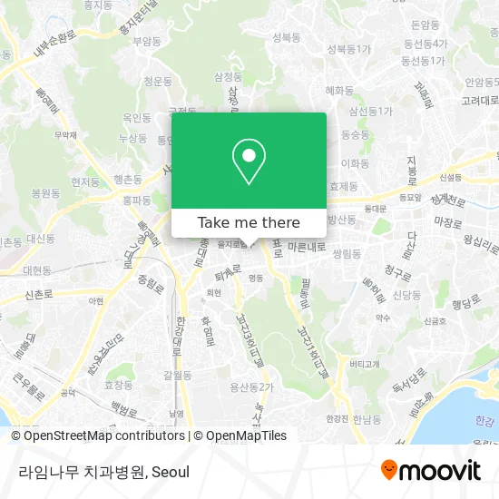 라임나무 치과병원 map
