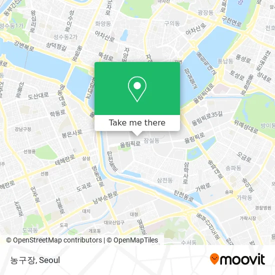 농구장 map