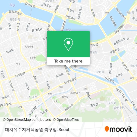 대치유수지체육공원 축구장 map