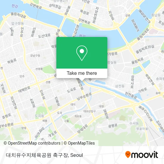 대치유수지체육공원 축구장 map