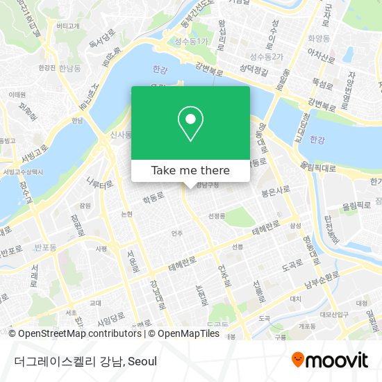 더그레이스켈리 강남 map