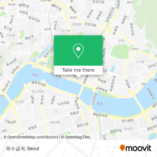 옥수금속 map