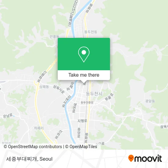 세종부대찌개 map