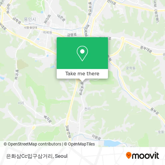 은화삼Cc입구삼거리 map