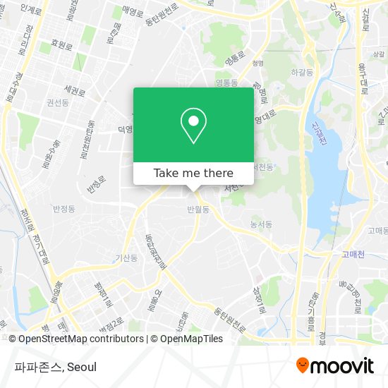 파파존스 map