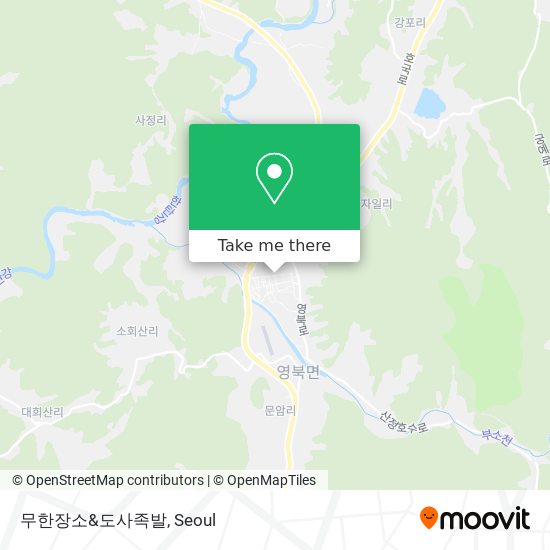 무한장소&도사족발 map