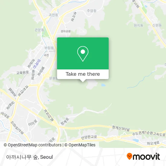 아까시나무 숲 map