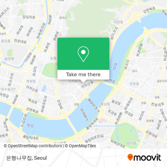 은행나무집 map