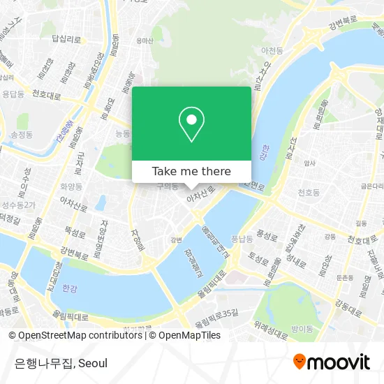 은행나무집 map