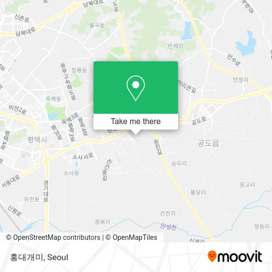 홍대개미 map