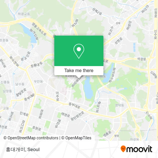 홍대개미 map