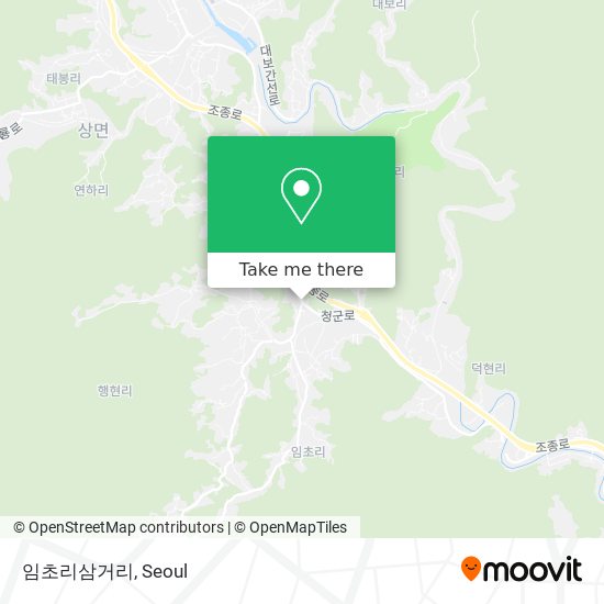 임초리삼거리 map