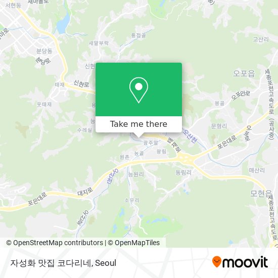 자성화 맛집 코다리네 map