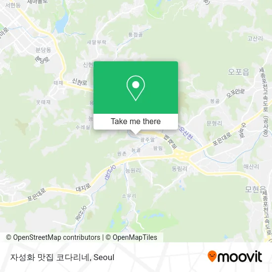 자성화 맛집 코다리네 map
