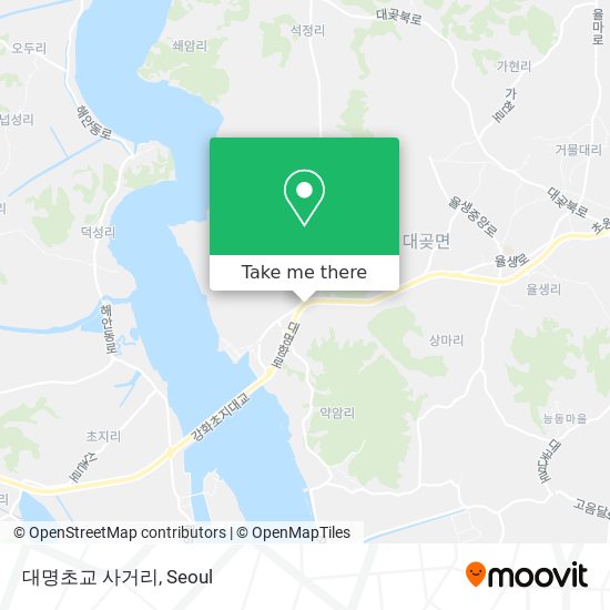 대명초교 사거리 map