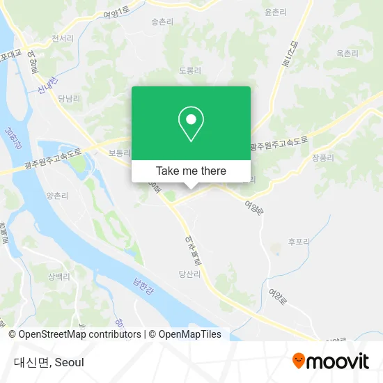 대신면 map