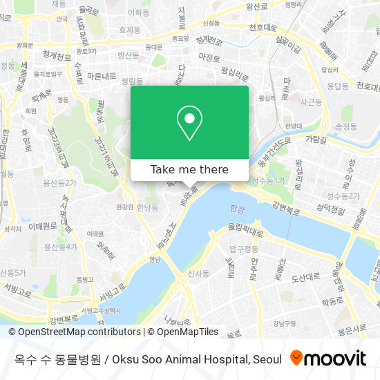 옥수 수 동물병원 / Oksu Soo Animal Hospital map