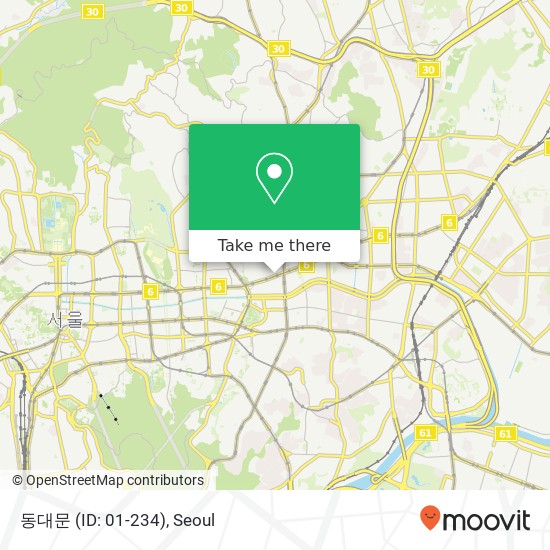 동대문 (ID: 01-234) map